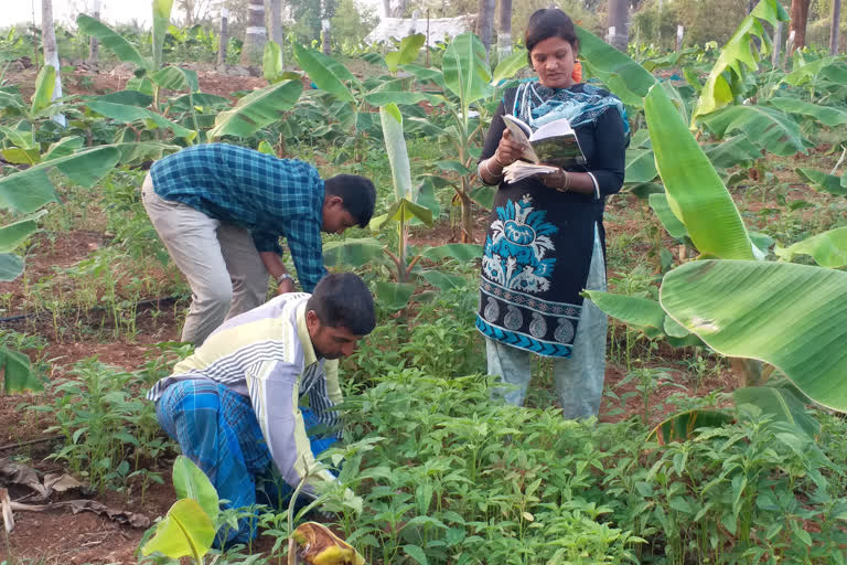 A woman earns Rs 1500 per day in agriculture by reading books