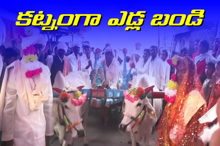 Bull cart as dowry in kumuram bheem asifabad district