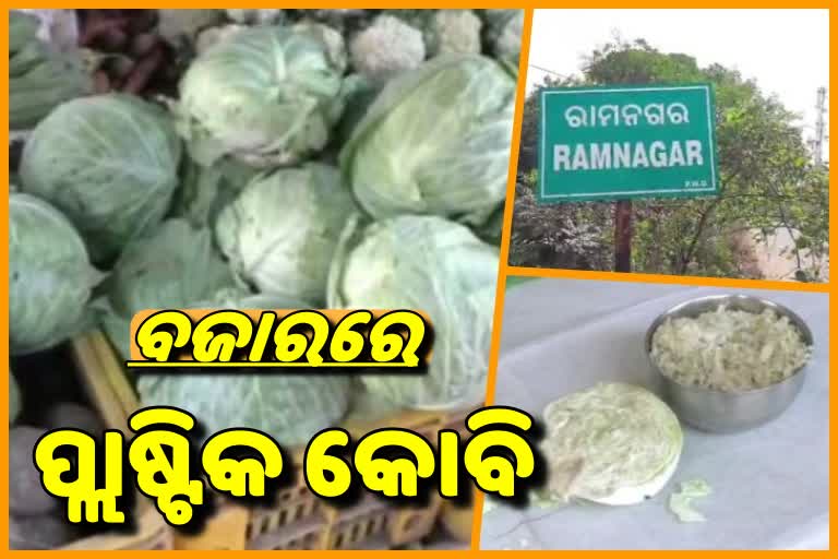 ବଜାରରେ ପ୍ଲାଷ୍ଟିକ ବନ୍ଧାକୋବି, ଚିନ୍ତାରେ ଖାଉଟି