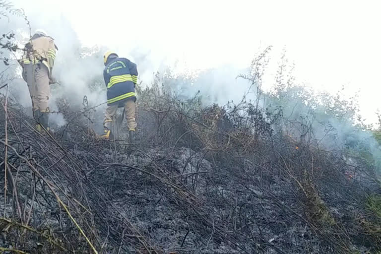 wildfire near Coonoor  Nilgiri Wildfire  Fire service extinguished the wildfire near coonoor in 2 hours  Nilgiri Latest  coonoor  குன்னூர் அருகே காட்டுத்தீ  நீலகிரி காட்டுத்தீ  நீலகிரி மாவட்டச்செய்திகள்  குன்னூர்