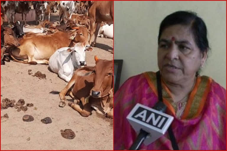 Science says havan' of cow dung cake can keep house sanitised for 12 hrs: MP minister