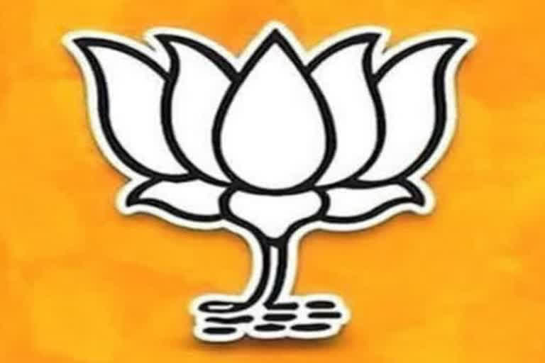 BJP appoints incharge to sindhagi assembly by election