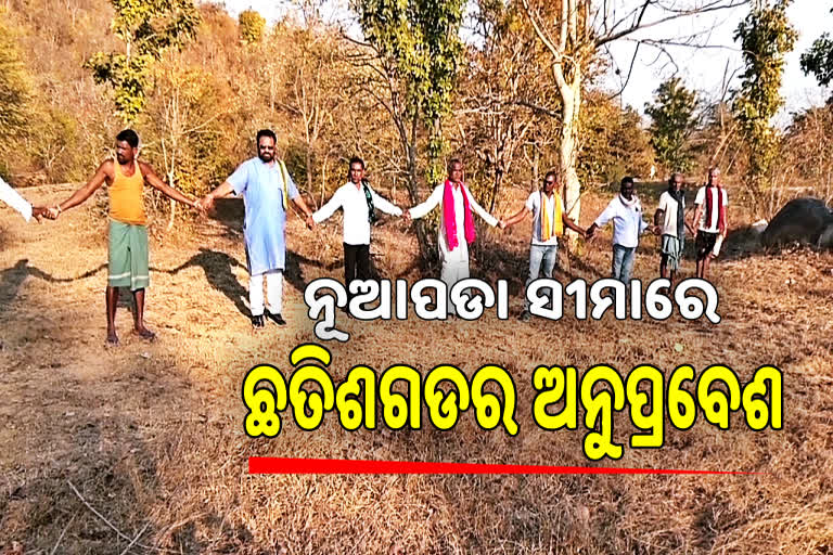 border dispute odisha and chatishgarh in nuapada, tree plantaion by chatishgarh