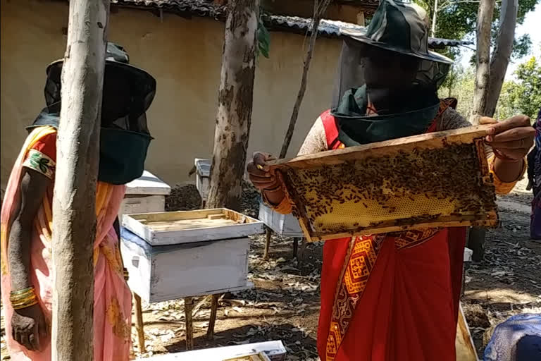 Women of Surajpur are earning by beekeeping