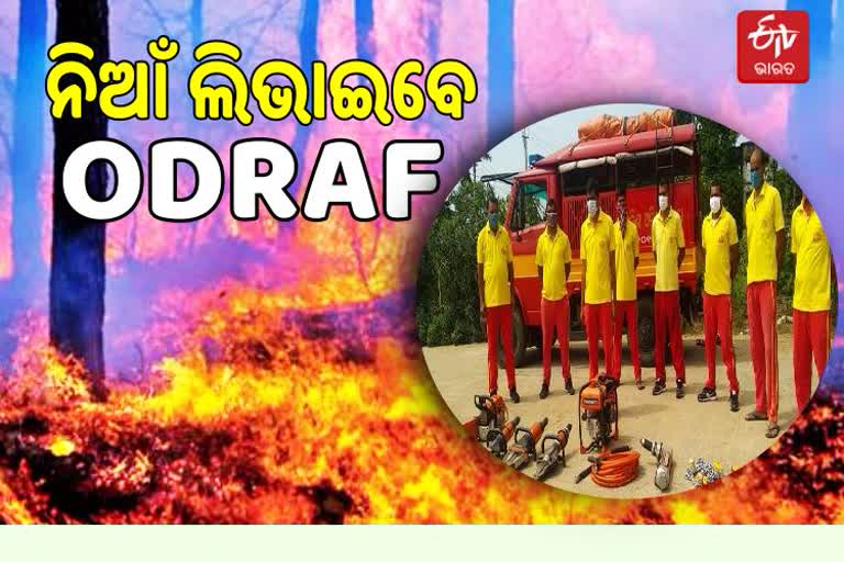 Odraf team to be  deplyed in forest fire