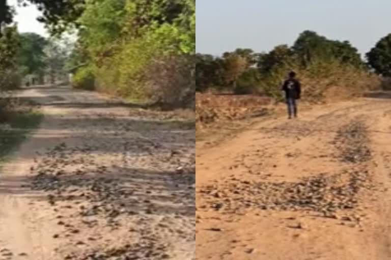 road-from-pendra-to-satokpur-haratola-was-in-bad-condition