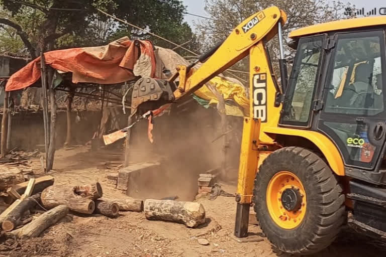 action on illegal saw mill in giridih