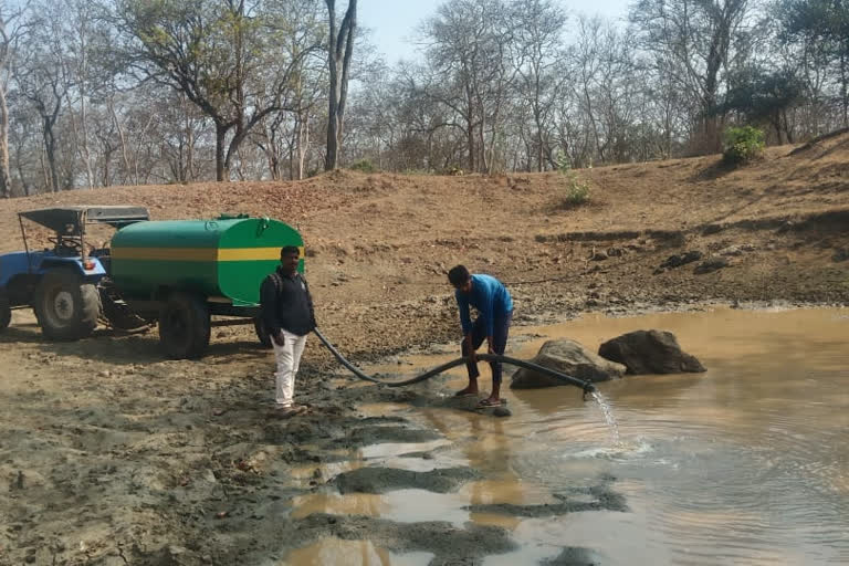 water fill to lake in wild, Mysore forest department water fill to lake in wild, Mysore forest department news, ಕಾಡಿನ ಕೆರೆಗೆ ನೀರು ತುಂಬಿಸುತ್ತಿರುವ ಸಿಬ್ಬಂದಿ, ಮೈಸೂರಿನಲ್ಲಿ ಕಾಡಿನ ಕೆರೆಗೆ ನೀರು ತುಂಬಿಸುತ್ತಿರುವ ಸಿಬ್ಬಂದಿ, ಕಾಡಿನ ಕೆರೆಗೆ ನೀರು ತುಂಬಿಸುತ್ತಿರುವ ಸಿಬ್ಬಂದಿ ಸುದ್ದಿ, ಮೈಸೂರು ಅರಣ್ಯ ಇಲಾಖೆ, ಮೈಸೂರು ಅರಣ್ಯ ಇಲಾಖೆ ಸುದ್ದಿ,