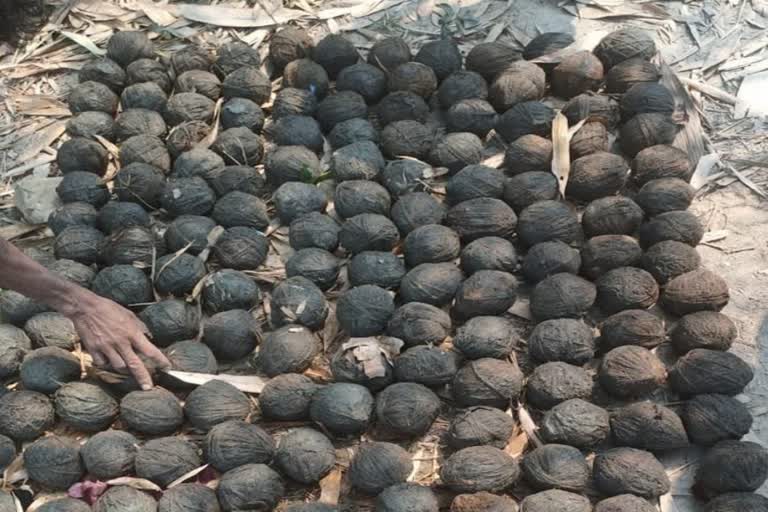 West Bengal: Around 200 crude bombs were recovered from Bhangar area of South 24 Parganas district