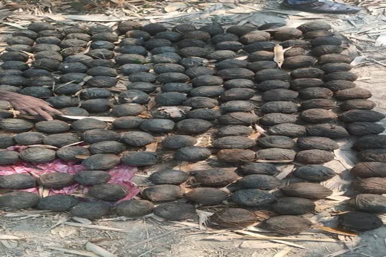 Around 200 crude bombs were recovered from Bhangar