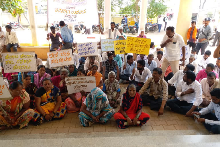 Honey bee attack on protesters In Gadag