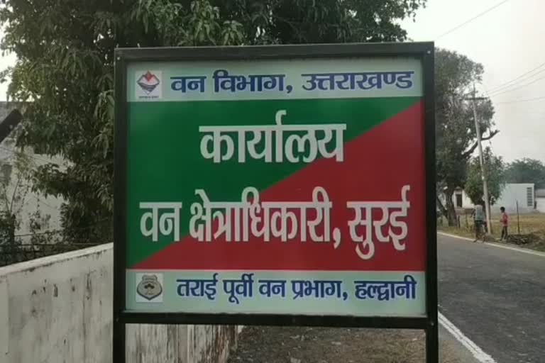 forest-department