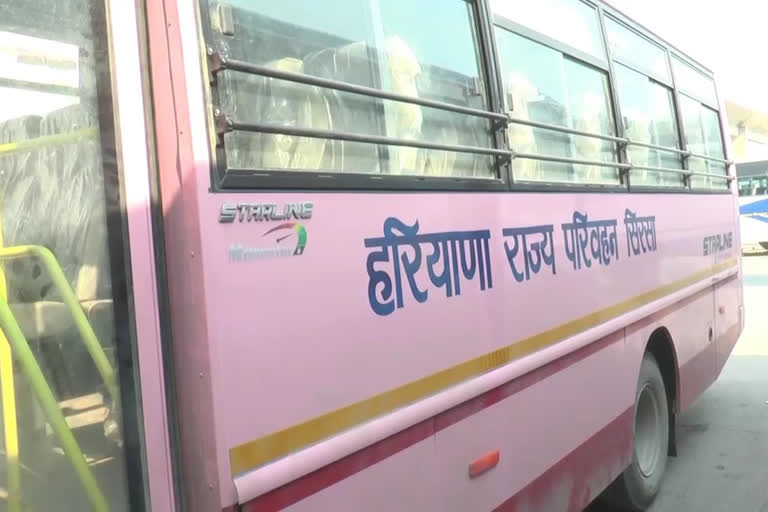 Pink bus service started Sirsa