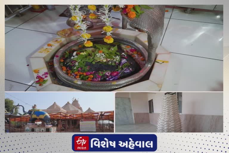 મહાશિવરાત્રિ પર જાણો બારડોલીના પૌરાણિક કેદારેશ્વર મહાદેવ મંદિરનું મહાત્મ્ય