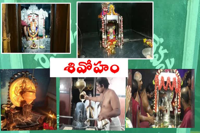 maha sivaratri special puja