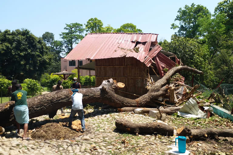 बम्बू हट क्षतिग्रस्त