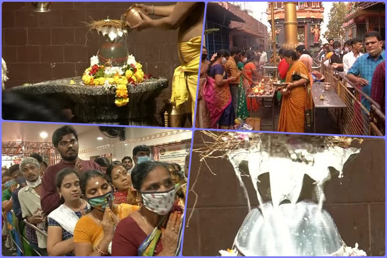 sivarathri celebrations