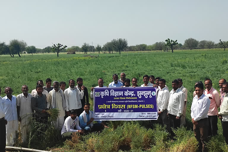 राजस्थान की ताजा हिंदी खबरें, Crops of farmers wasted