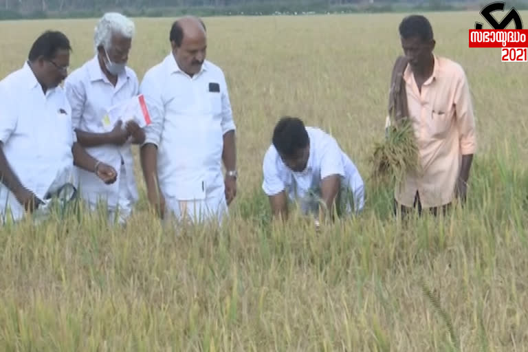 Adv. Anil Kumar LDF starts campaign  LDF starts campaign  Adv. Anil Kumar  അഡ്വ. അനിൽ കുമാർ  കൊയ്ത്തുത്സവത്തോടെ പ്രചാരണം ആരംഭിച്ച് അഡ്വ. അനിൽ കുമാർ