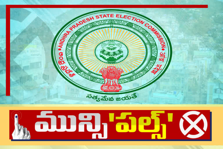 పురపోరు: విజేతలను ప్రకటించేందుకు ఏర్పాట్లు పూర్తి