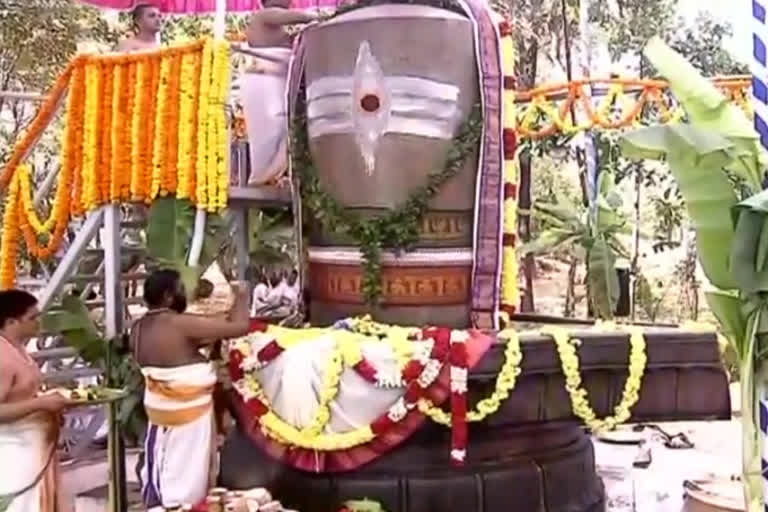 mahashivaratri celebrations  at sri venkateswara vedic university in chittoor district