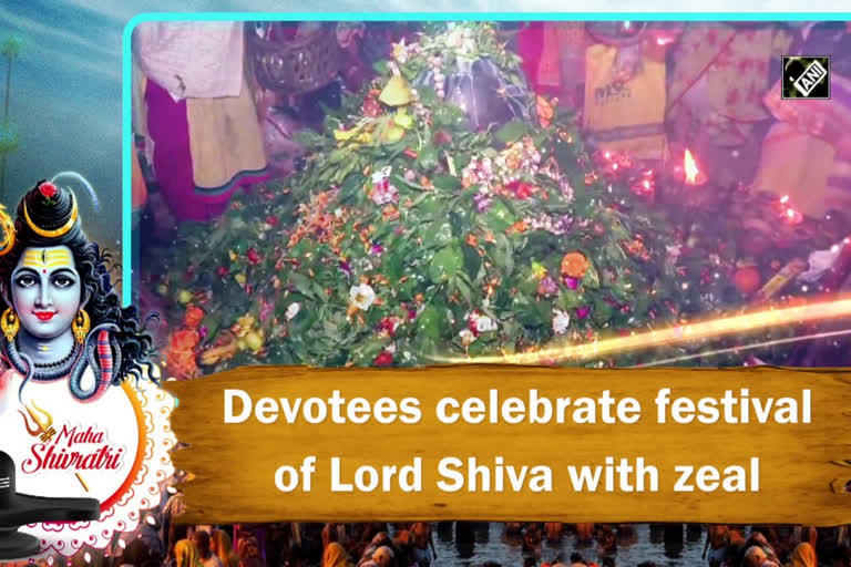 mahashivratri