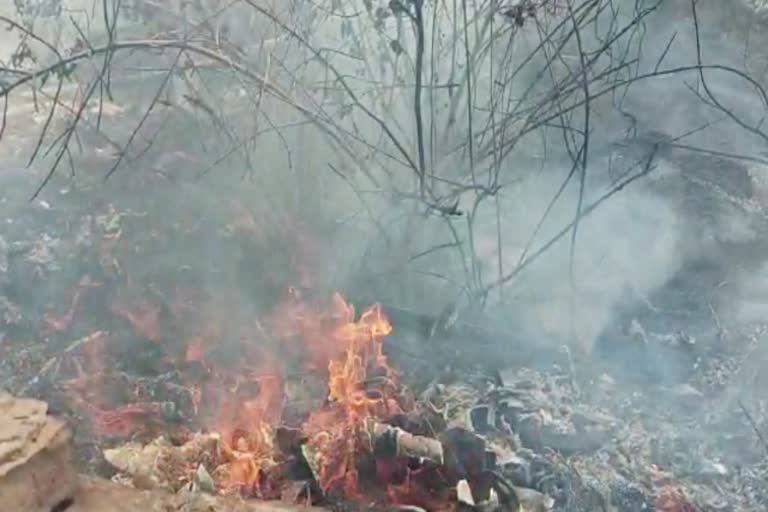 अजमेर न्यूज  राजस्थान न्यूज  खाली पड़े प्लॉट  Control over fire found after hard work  Fire in dry bushes  ajmer news  Vacant plot