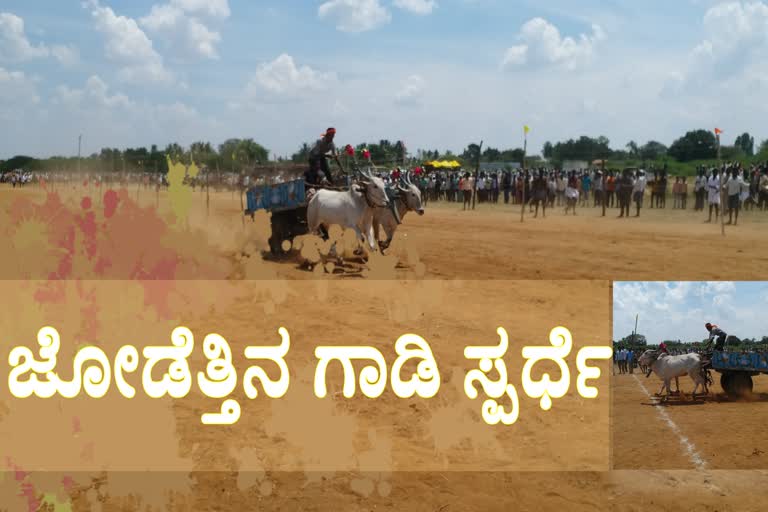 bullock cart race competition at chitradurga