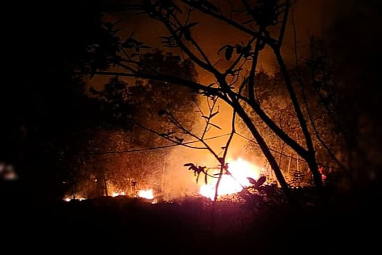 Simlipal park fire,  Odisha forest fire,  forest fire,  Odisha government on forest fire,  Simlipal park fire under control, rainfall helped: Official  Simlipal park,  ഒഡീഷ, സിംലിപാൽ, ദേശീയ ഉദ്യാനത്തിലെ തീ നിയന്ത്രണവിധേയം; ആശ്വാസമായത് മഴ,  ഒഡീഷ സിംലിപാൽ, ദേശീയ ഉദ്യാനത്തിലെ തീ നിയന്ത്രണവിധേയം,  ആശ്വാസമായത് മഴ,  സിംലിപാൽ, ദേശീയ ഉദ്യാനം,  കാട്ടുതീ  ,