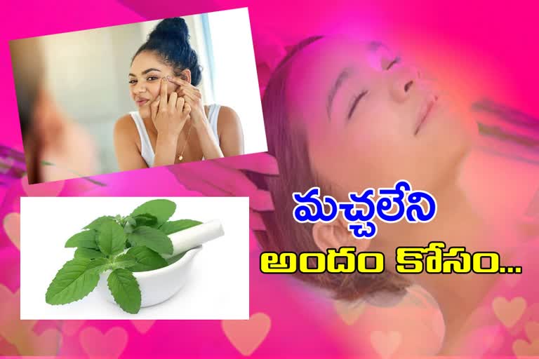 basil-leaf-benefits-to-the-beauty-in-telugu