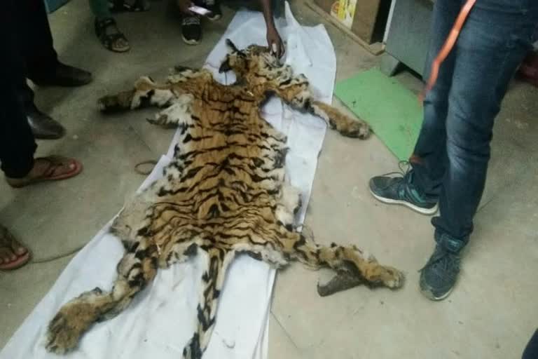Tiger skin smuggling