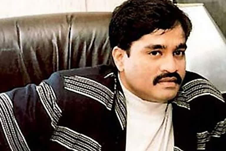 Bring back Dawood Ibrahim to India, hang him: Hindu Sena