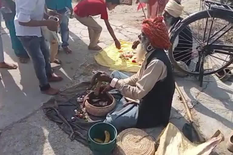 Snake charmer in shiva temple