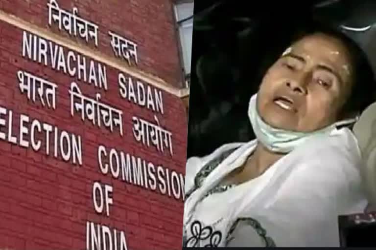 mamta