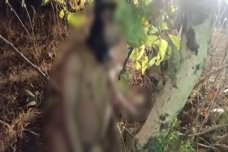 dead-body-found-near-forest-of-dhanbad