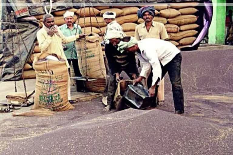 haryana farmers are getting more price of mustard crop