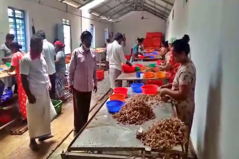 Leaders of the All India Gangaputra Mahasabha visited the states of Tamil Nadu and Kerala