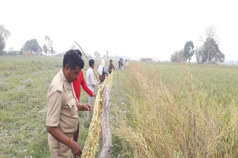 leopard-enters- in village-in bahraich