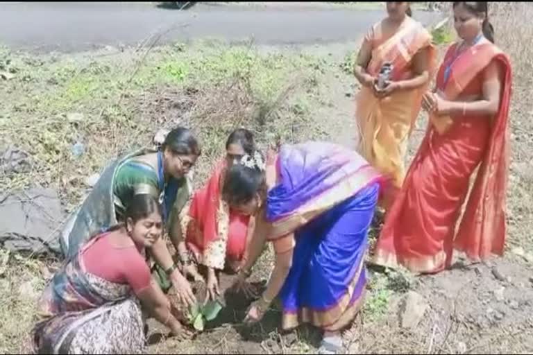 plantation of banyan tree on vat purnima