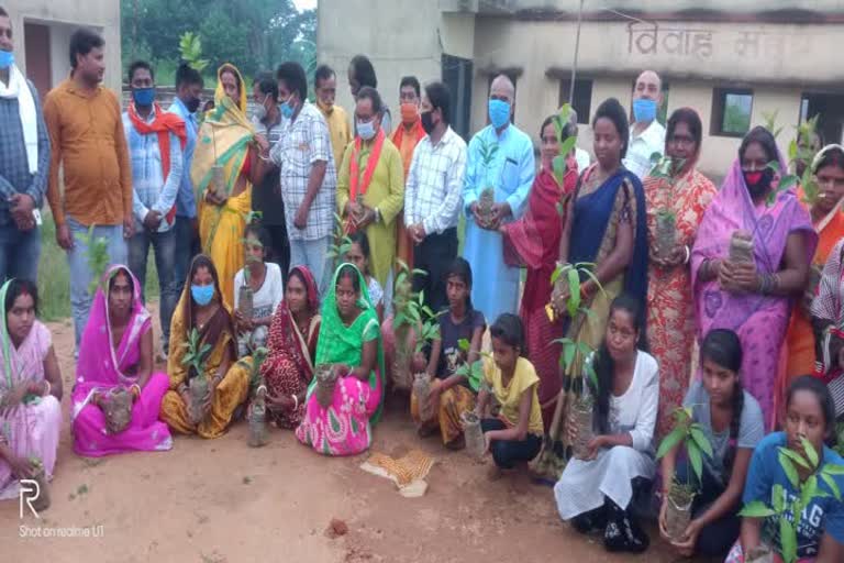 Plantation program during service week in dhanbad