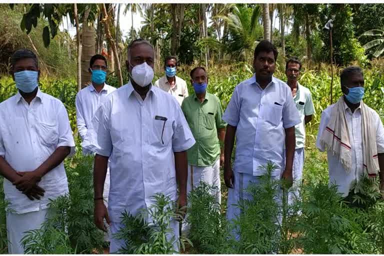 Occupation of the Thanjavur drain