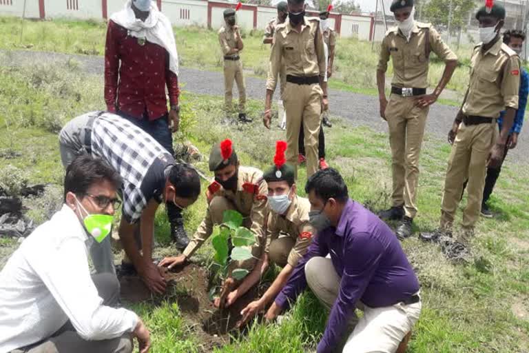 ncc-cadets-planted-saplings-on-bksn-college-campus