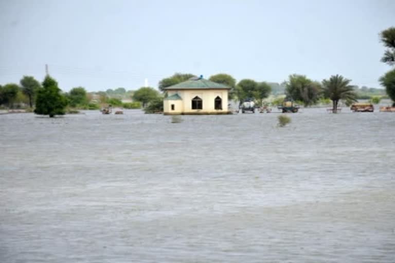 UNGA adopts resolution on solidarity with flood-hit Pakistan