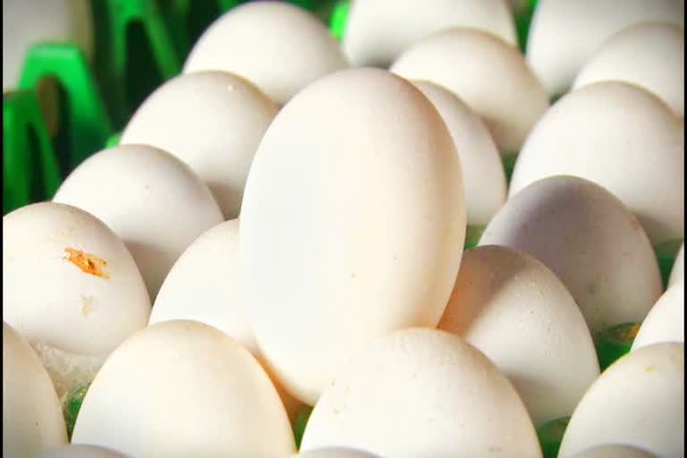 Egg rate update 