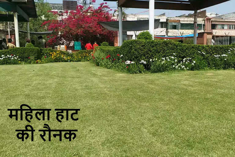 north mcd decorated Mahila Haat Park in DELHI