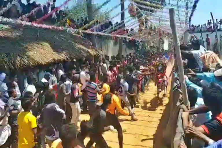 jallikattu in chittoor