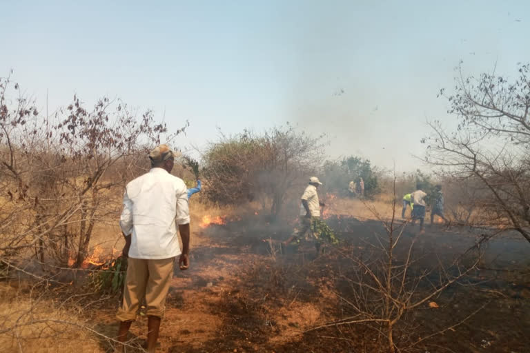 Hagaribommanahalli forest burns by fire