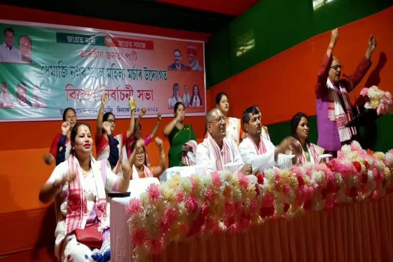 dhemaji_bjp_town_mondol_mohila_morcha_conference_