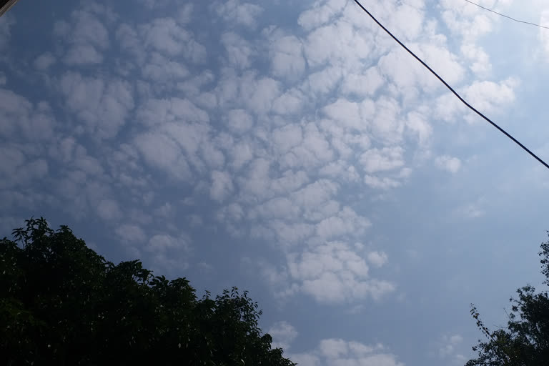 rain in Madhya Pradesh