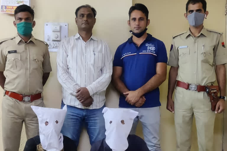 राजस्थान की ताजा हिंदी खबरें,Robbery case in jodhpur